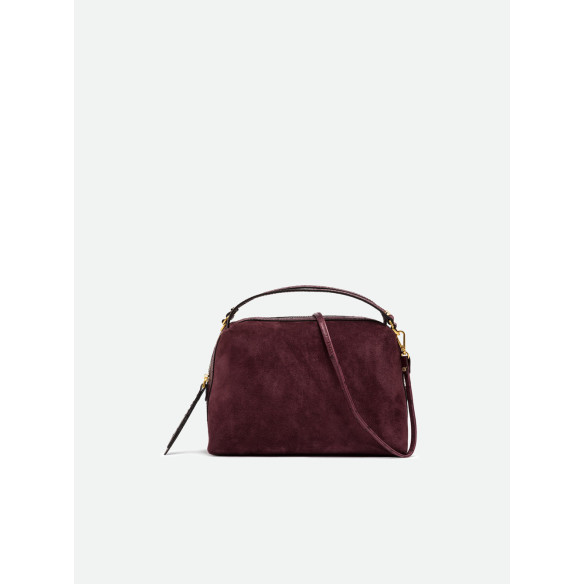 Borsa Alifa media Gianni Chiarini
