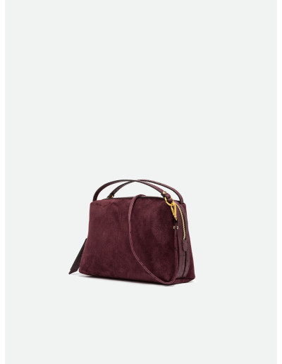 Borsa Alifa media Gianni Chiarini