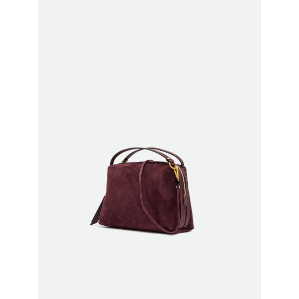 Borsa Alifa media Gianni Chiarini