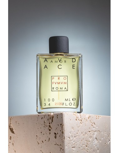 Profvmvm Roma Audace edp 100 ml